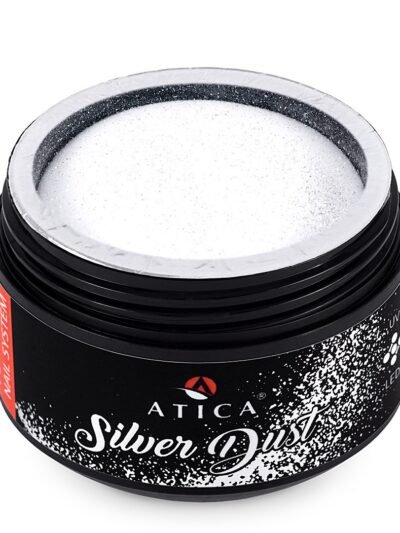 Polvere Acrilica SILVER DUST 30ml