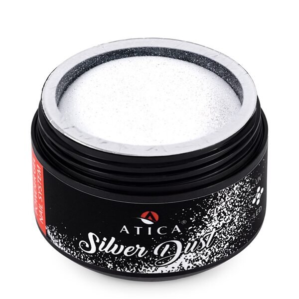 Polvere Acrilica SILVER DUST 30ml