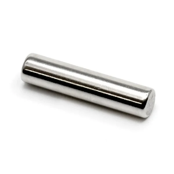 Magnete per Smalto Gel Effetto Cat Eye (2,5 × 0,5 cm)